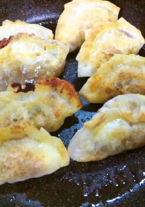 残り物大作戦＊ドライカレーが餃子に変身-レシピのメイン写真