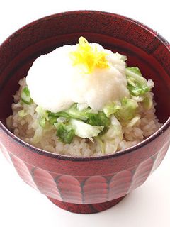 キャベツのとろろ丼-レシピのメイン写真
