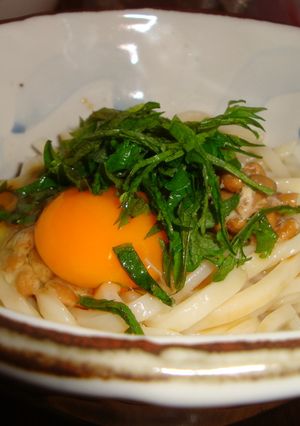 ぱぱっと簡単♪栄養満点納豆ぶっかけうどん-レシピのメイン写真