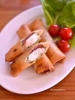 鶏ささみ肉の梅しそ春巻き-レシピのメイン写真