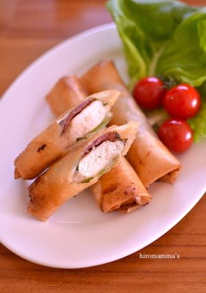鶏ささみ肉の梅しそ春巻き-レシピのメイン写真