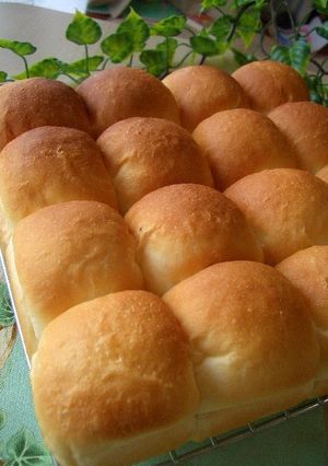 はちみつみるくちぎりパン-レシピのメイン写真