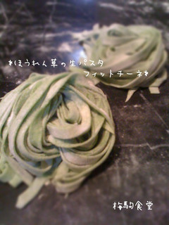 ほうれん草の生パスタ フィットチーネ-レシピのメイン写真