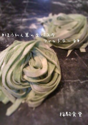 ほうれん草の生パスタ フィットチーネ-レシピのメイン写真