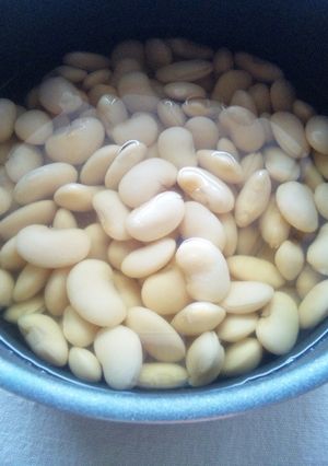 白いんげん豆の煮方(覚書)-レシピのメイン写真