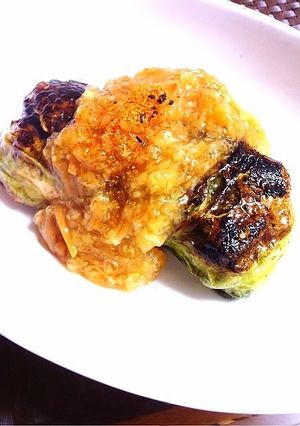 春キャベツ巻きバーグ-レシピのメイン写真