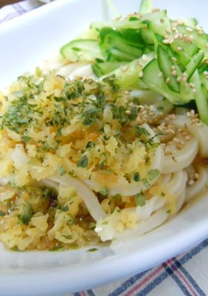 青海苔たぬきのぶっかけうどん☆-レシピのメイン写真