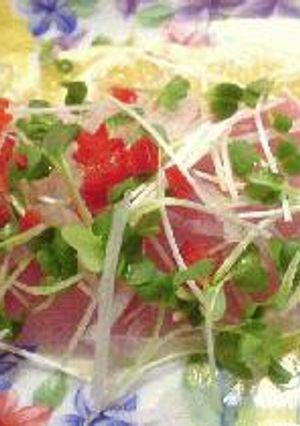 はなびし草の日向夏と鮪のカルパッチョ-レシピのメイン写真