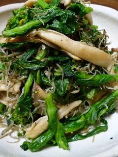 菜の花、ジャコ、エリンギで絶妙トリオ炒め-レシピのメイン写真