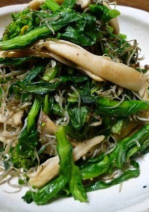 菜の花、ジャコ、エリンギで絶妙トリオ炒め-レシピのメイン写真