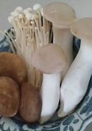 豆知識＠きのこの洗い方（洗わないで調理）-レシピのメイン写真