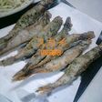 ししゃもの唐揚げ