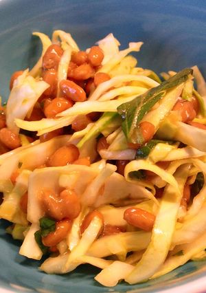 納豆とキャベツのさっぱり和え-レシピのメイン写真