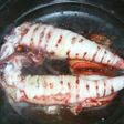 ヤリイカのタジン焼き・醤油風味