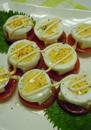 トマトと豆腐のオードブル-レシピのメイン写真