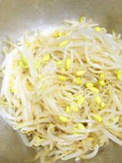 豆もやしのナムル-レシピのメイン写真