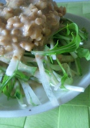 胡麻ドレde納豆サラダ-レシピのメイン写真