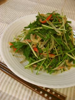 シャキシャキ!水菜ともやしのサラダ☆-レシピのメイン写真