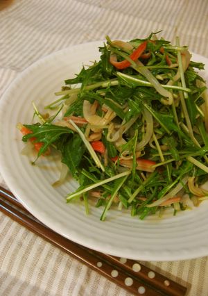 シャキシャキ！水菜ともやしのサラダ☆-レシピのメイン写真