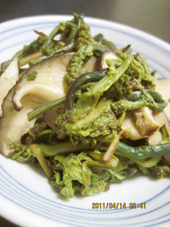 わらびとしいたけの胡麻油炒め-レシピのメイン写真