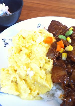 ハッシュドビーフ　オムレツらいす-レシピのメイン写真