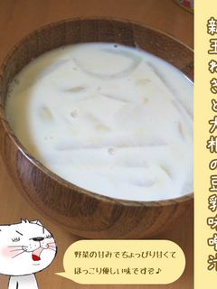 新玉ねぎと大根の豆乳味噌汁-レシピのメイン写真