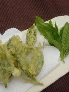 新茶の天ぷら-レシピのメイン写真