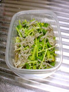菜の花のちりめんじゃこ和え(わさび)-レシピのメイン写真