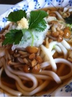 さっぱり!なめこおろしうどん♪-レシピのメイン写真