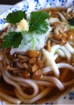 さっぱり！なめこおろしうどん♪-レシピのメイン写真