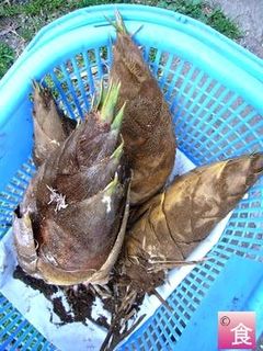 田舎式!たけのこの茹で方-レシピのメイン写真
