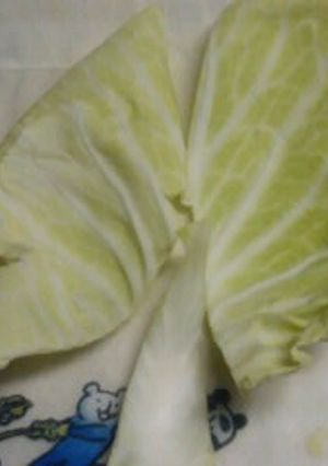 キャベツ ｉｎ パン　手ごね惣菜パン-レシピのメイン写真