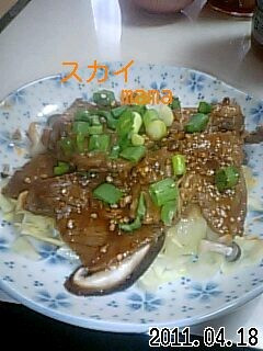 焼き肉☆お弁当にも♪-レシピのメイン写真