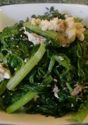 簡単からし菜炒め-レシピのメイン写真