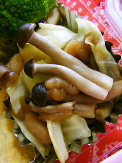 レンジで野菜のおひたし-レシピのメイン写真