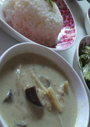 簡単タイ料理★激うまグリーンカレー-レシピのメイン写真