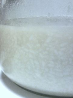 塩麹の作り方-レシピのメイン写真