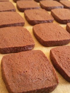 サクサク濃厚◆チョコレートクッキー-レシピのメイン写真