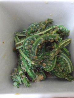 こごみの胡麻和え-レシピのメイン写真