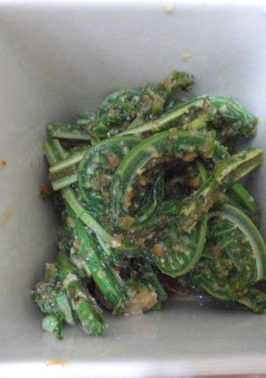 こごみの胡麻和え-レシピのメイン写真