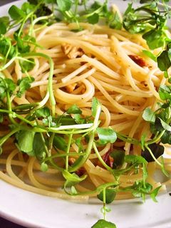 春のパスタ胡桃とクレソンのペペロンチーノ-レシピのメイン写真