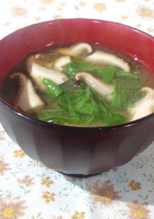しいたけと水菜のみそ汁-レシピのメイン写真