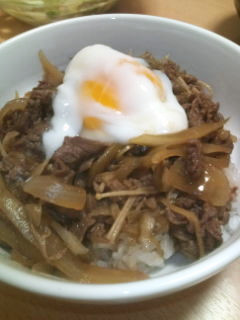 ごぼう牛丼~♪-レシピのメイン写真
