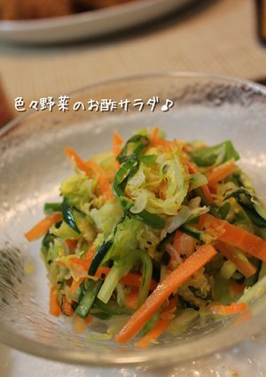 色々野菜のお酢サラダ-レシピのメイン写真