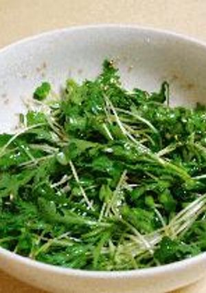 春菊とカイワレの胡麻サラダ-レシピのメイン写真