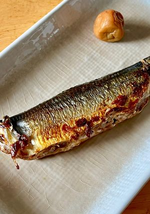 いわしの塩焼き-レシピのメイン写真