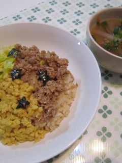 豚挽き肉で!そぼろ丼&豚ダシ野菜スープ-レシピのメイン写真
