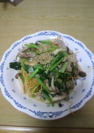 適当皿うどん-レシピのメイン写真