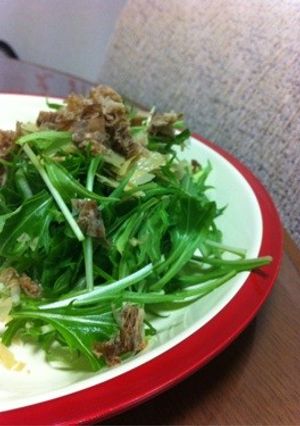 水菜と湯葉のシャキシャキパリパリサラダ-レシピのメイン写真