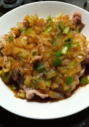 豚肉のネギたっぷり炒め☆-レシピのメイン写真